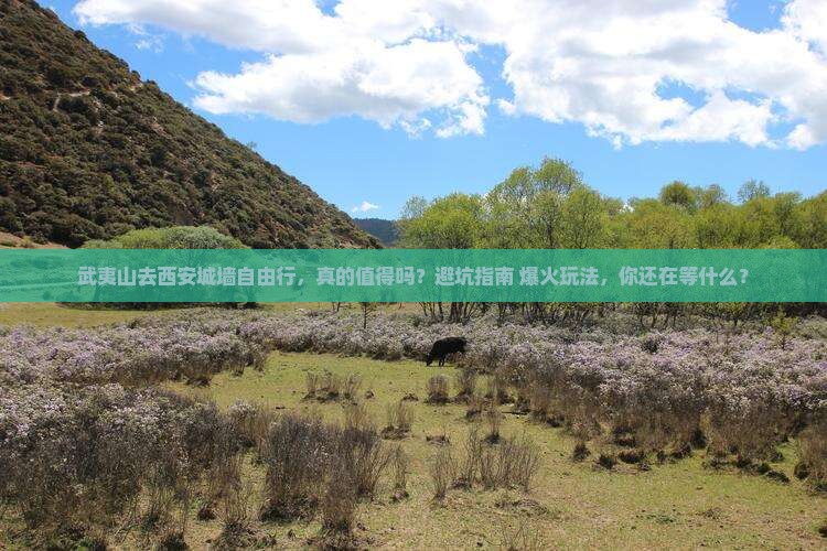 武夷山去西安城墙自由行