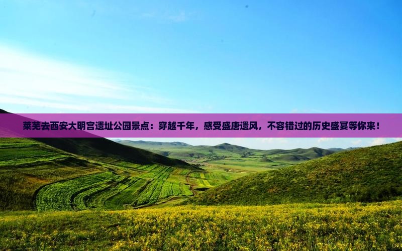 莱芜去西安大明宫国家遗址公园景点
