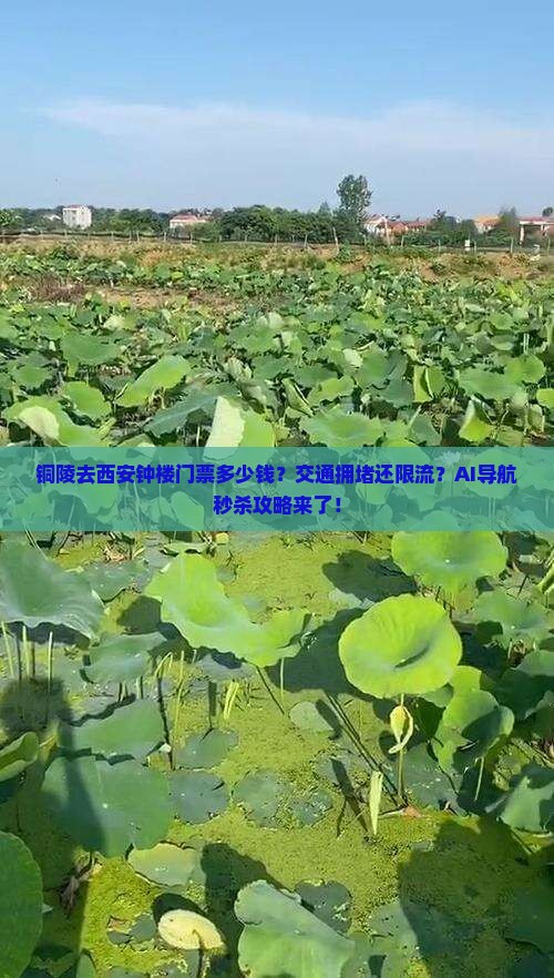 铜陵去西安钟楼门票