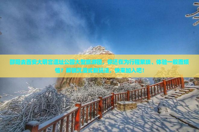 邵阳去西安大明宫国家遗址公园大型旅游团