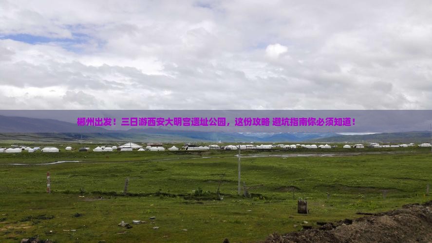 郴州去西安大明宫国家遗址公园三日游