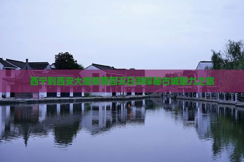 西宁到西安大唐芙蓉园五日游