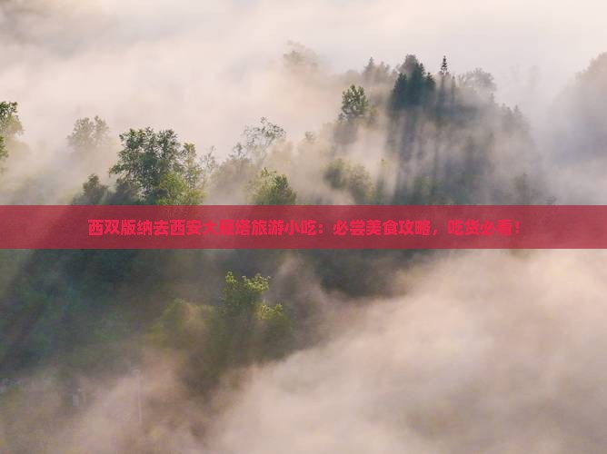 西双版纳去西安大雁塔旅游小吃