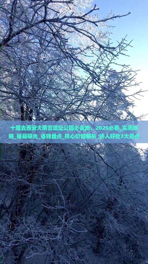 十堰去西安大明宫国家遗址公园必去地