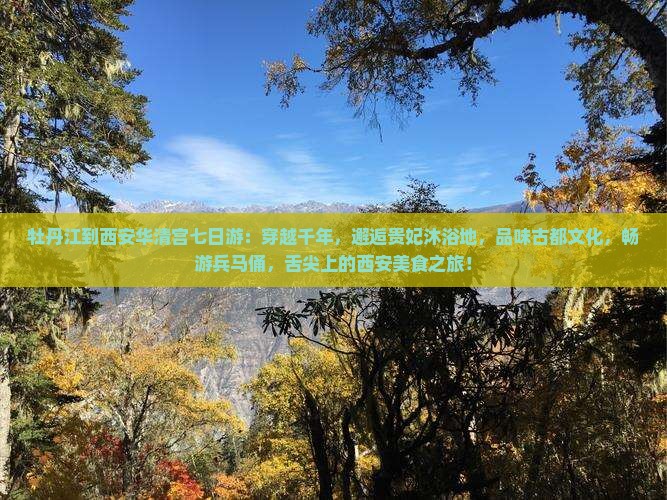 牡丹江到西安华清宫七日游