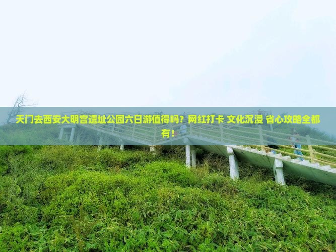 天门去西安大明宫国家遗址公园六日游