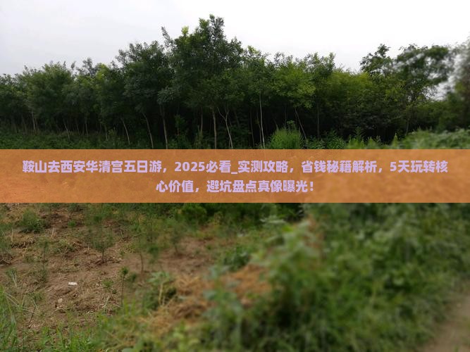 鞍山去西安华清宫五日游