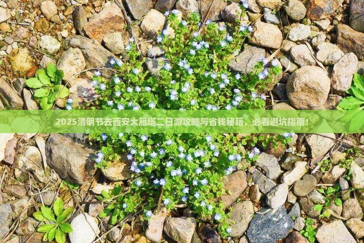 清明节去西安大雁塔二日游