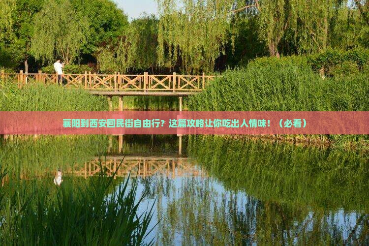 襄阳到西安回民街自由行