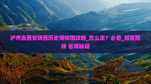 泸州去西安陕西历史博物馆攻略