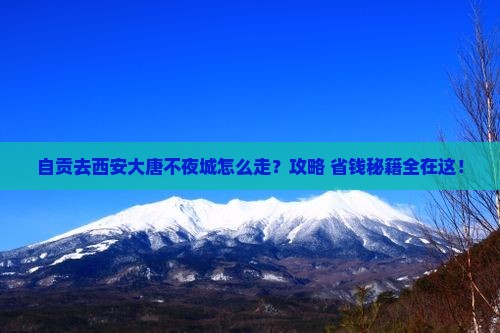自贡去西安大唐不夜城景点