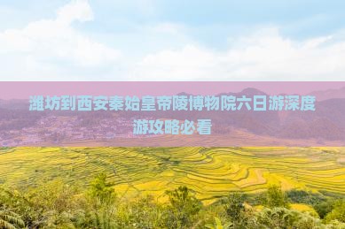 潍坊到西安秦始皇帝陵博物院六日游
