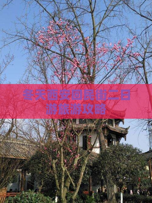 冬天西安回民街二日游旅游攻略