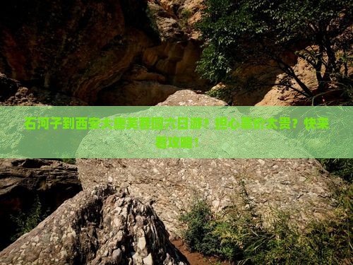 石河子到西安大唐芙蓉园六日游？担心票价太贵？快来看攻略！