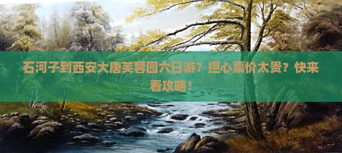 石河子到西安大唐芙蓉园六日游？担心票价太贵？快来看攻略！