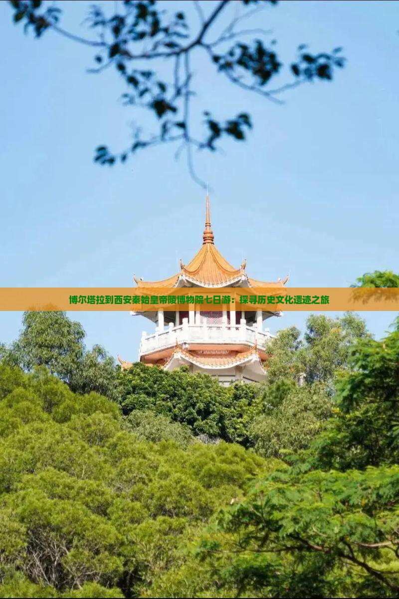 博尔塔拉到西安秦始皇帝陵博物院七日游：探寻历史文化遗迹之旅