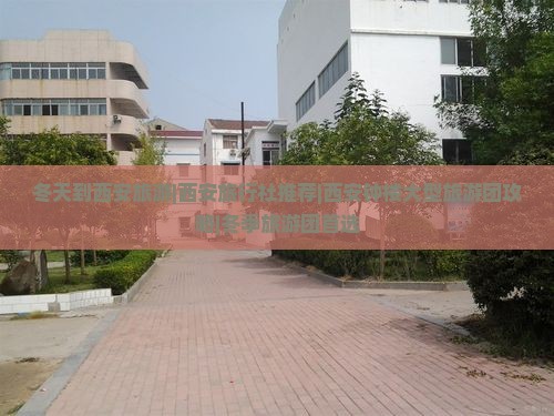 冬天到西安旅游|西安旅行社推荐|西安钟楼大型旅游团攻略|冬季旅游团首选