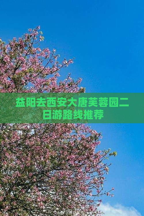 益阳去西安大唐芙蓉园二日游路线推荐