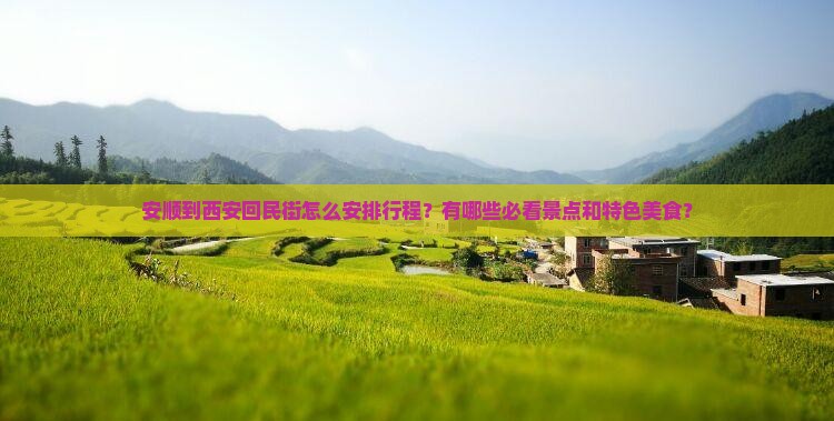 安顺到西安回民街怎么安排行程？有哪些必看景点和特色美食？