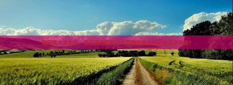 如何在大丰出发，实现西安回民街六日游的美食与文化深度体验？