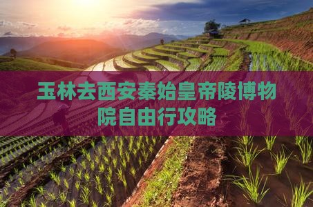 玉林去西安秦始皇帝陵博物院自由行攻略
