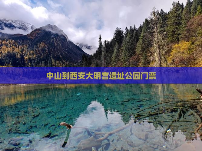 中山到西安大明宫遗址公园门票
