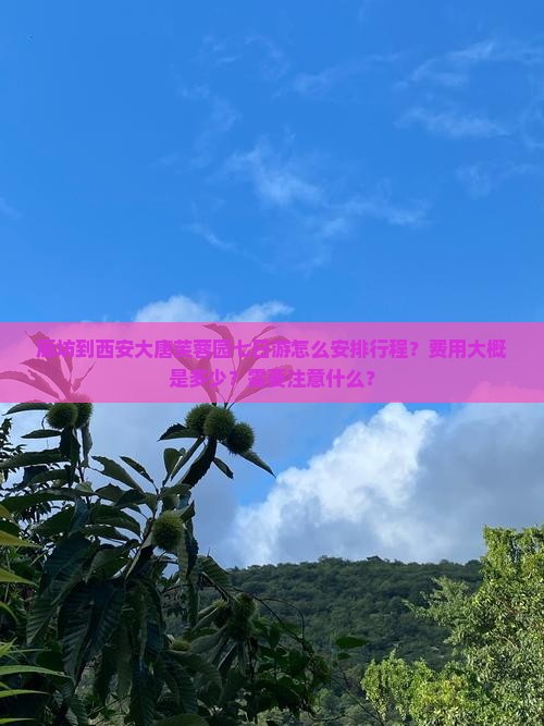 廊坊到西安大唐芙蓉园七日游怎么安排行程？费用大概是多少？需要注意什么？