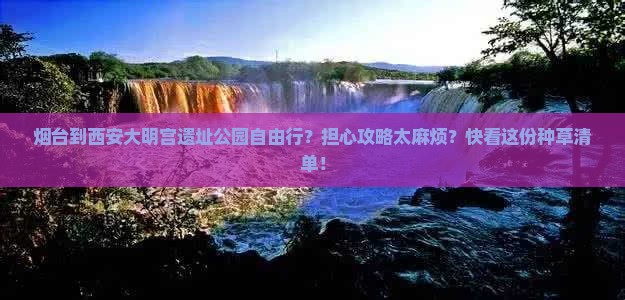 烟台到西安大明宫遗址公园自由行？担心攻略太麻烦？快看这份种草清单！