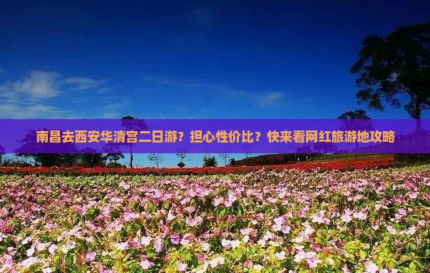 南昌去西安华清宫二日游？担心性价比？快来看网红旅游地攻略