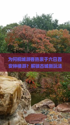 为何桐城游客热衷于六日西安钟楼游？解锁古城新玩法，痛点解决方案大！