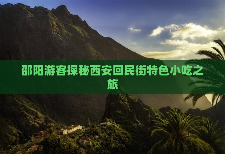 邵阳游客探秘西安回民街特色小吃之旅