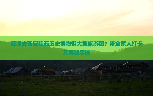 威海去西安陕西历史博物馆大型旅游团？带全家人打卡文博数字展