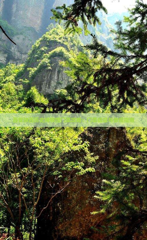 西安陕西历史博物馆门票攻略：门票信息与参观指南