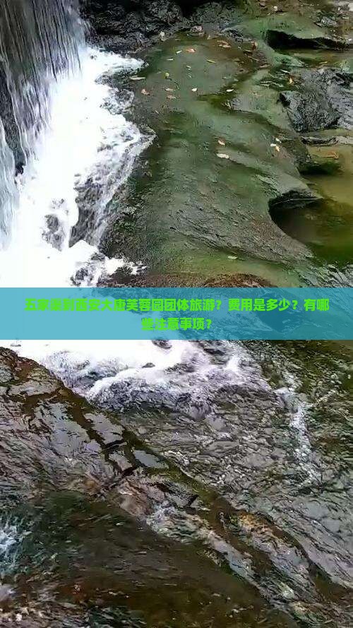 五家渠到西安大唐芙蓉园团体旅游？费用是多少？有哪些注意事项？