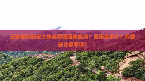 五家渠到西安大唐芙蓉园团体旅游？费用是多少？有哪些注意事项？