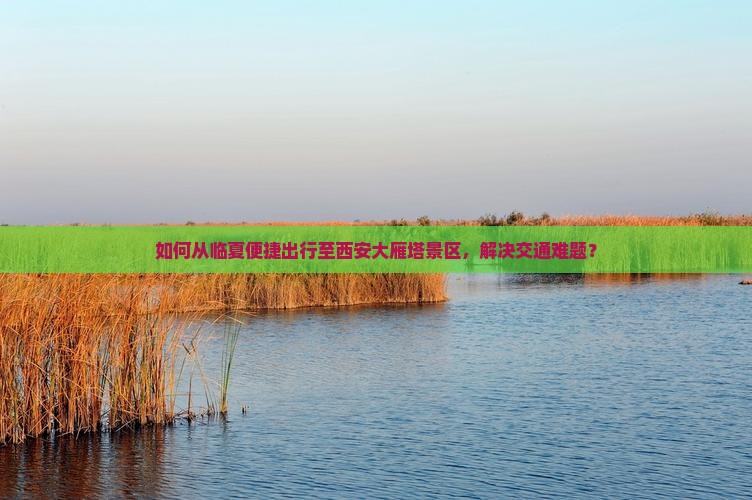 如何从临夏便捷出行至西安大雁塔景区，解决交通难题？