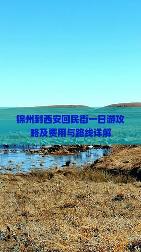 锦州到西安回民街一日游攻略及费用与路线详解