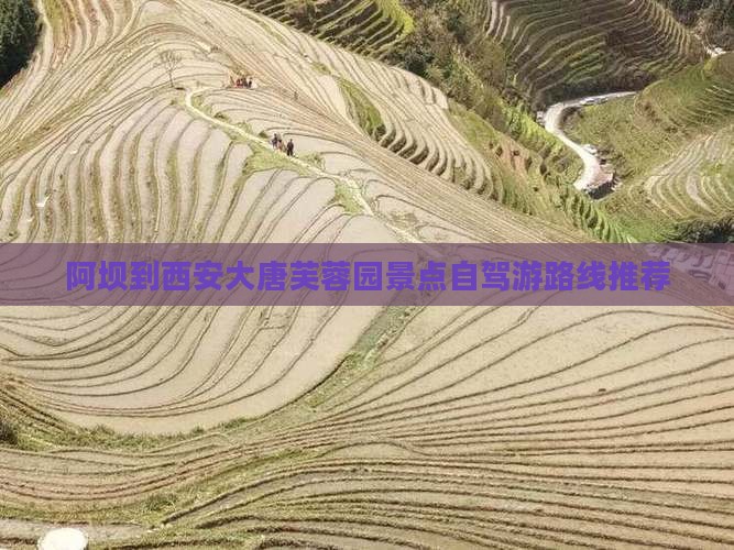 阿坝到西安大唐芙蓉园景点自驾游路线推荐