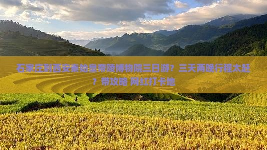 石家庄到西安秦始皇帝陵博物院三日游？三天两晚行程太赶？带攻略+网红打卡地