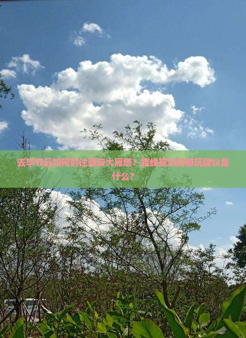 去毕节后如何前往西安大雁塔？路线规划和游玩建议是什么？