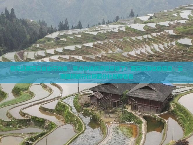 看完这篇西安自由行攻略，景点钟楼旅游信息够了！西安旅游住宿信息，云南国际旅行社陕西分社推荐看看