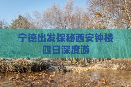 宁德出发探秘西安钟楼四日深度游