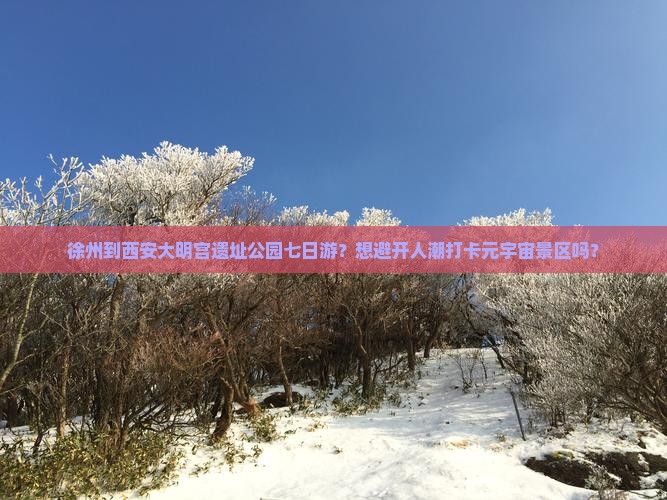 徐州到西安大明宫遗址公园七日游？想避开人潮打卡元宇宙景区吗？