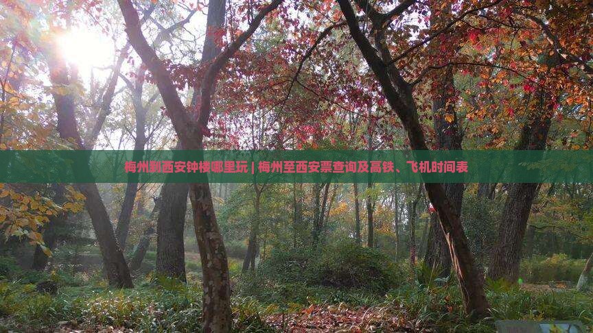 梅州到西安钟楼哪里玩 | 梅州至西安票查询及高铁、飞机时间表