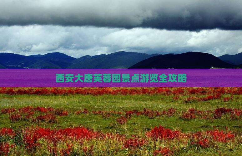 西安大唐芙蓉园景点游览全攻略