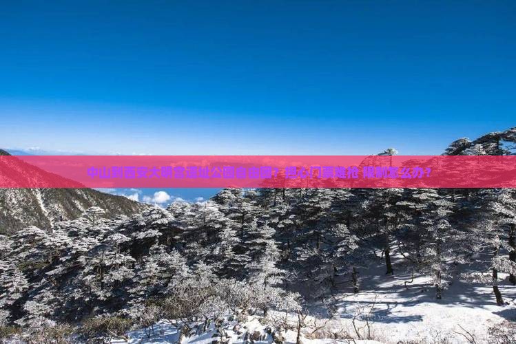 中山到西安大明宫遗址公园自由团？担心门票难抢+限制怎么办？