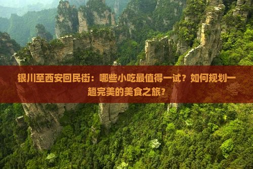 银川至西安回民街：哪些小吃最值得一试？如何规划一趟完美的美食之旅？