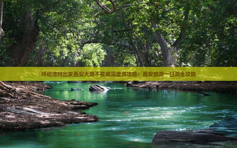 呼和浩特出发西安大唐不夜城深度游攻略：西安旅游一日游全攻略