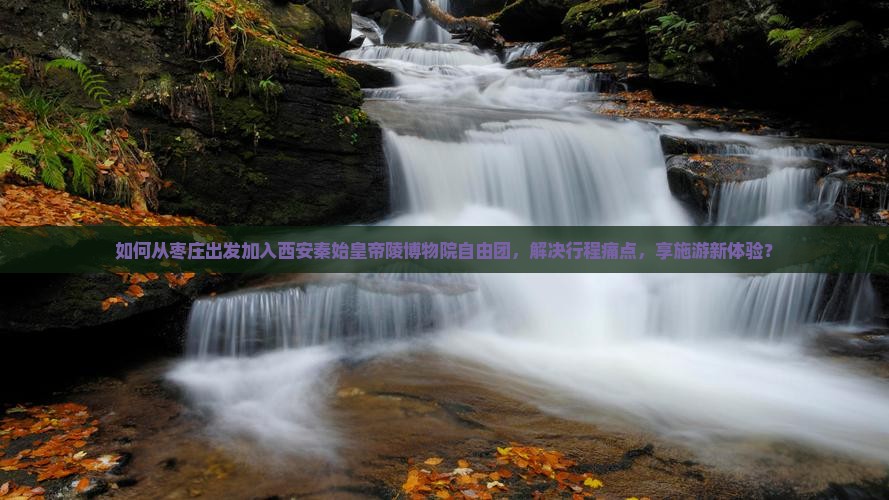 如何从枣庄出发加入西安秦始皇帝陵博物院自由团，解决行程痛点，享施游新体验？