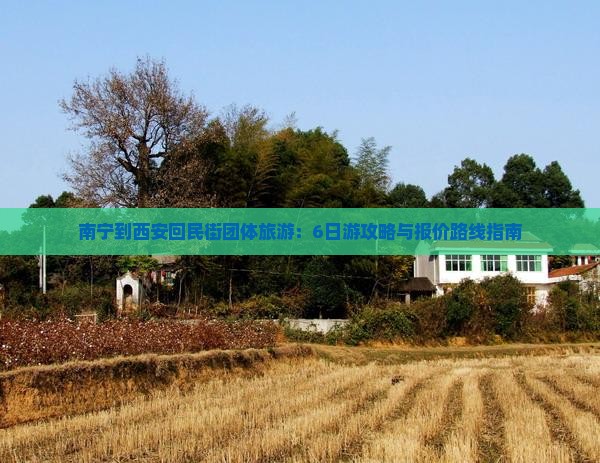 南宁到西安回民街团体旅游:6日游攻略与报价路线指南 南宁到西安回民街团体旅游:6日游攻略与报价路线指南
